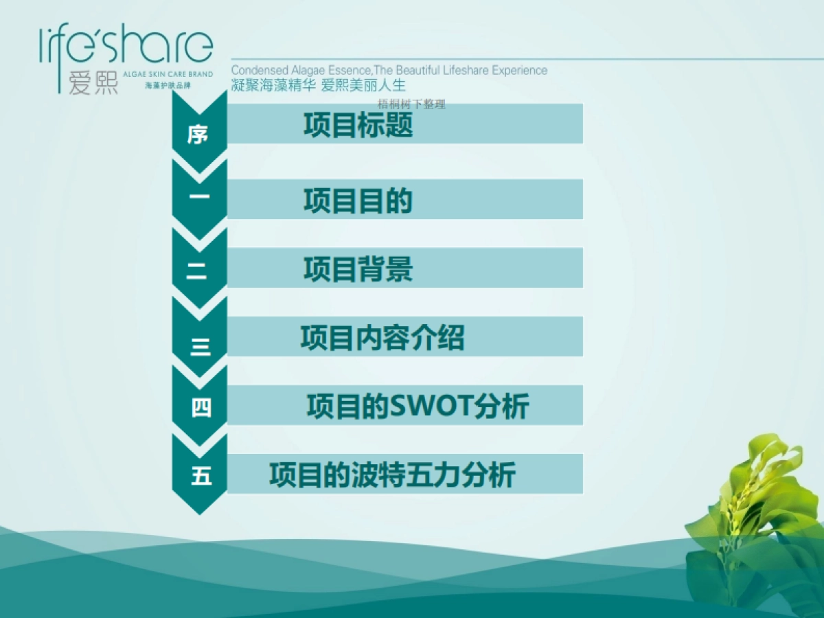 海洋生活家商业计划书_第2页