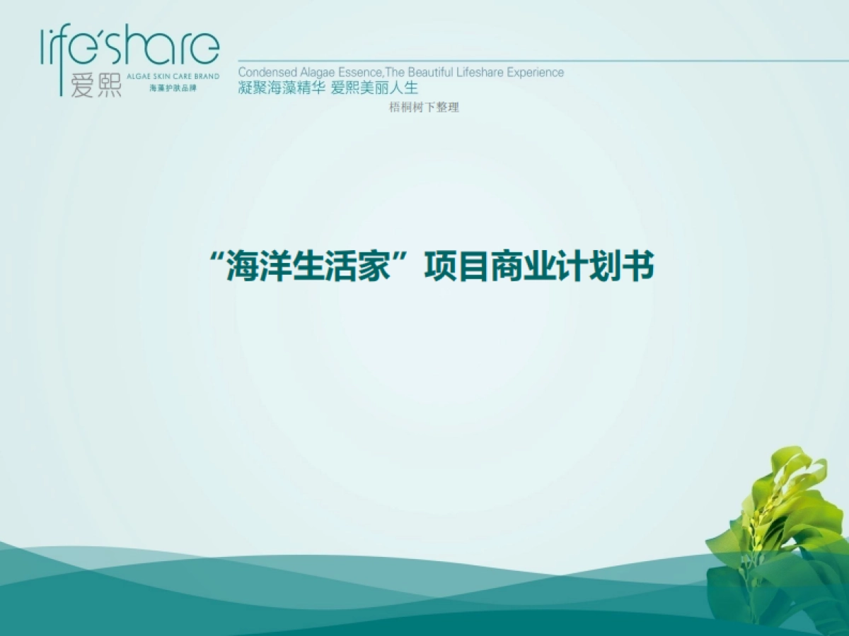 海洋生活家商业计划书_第3页