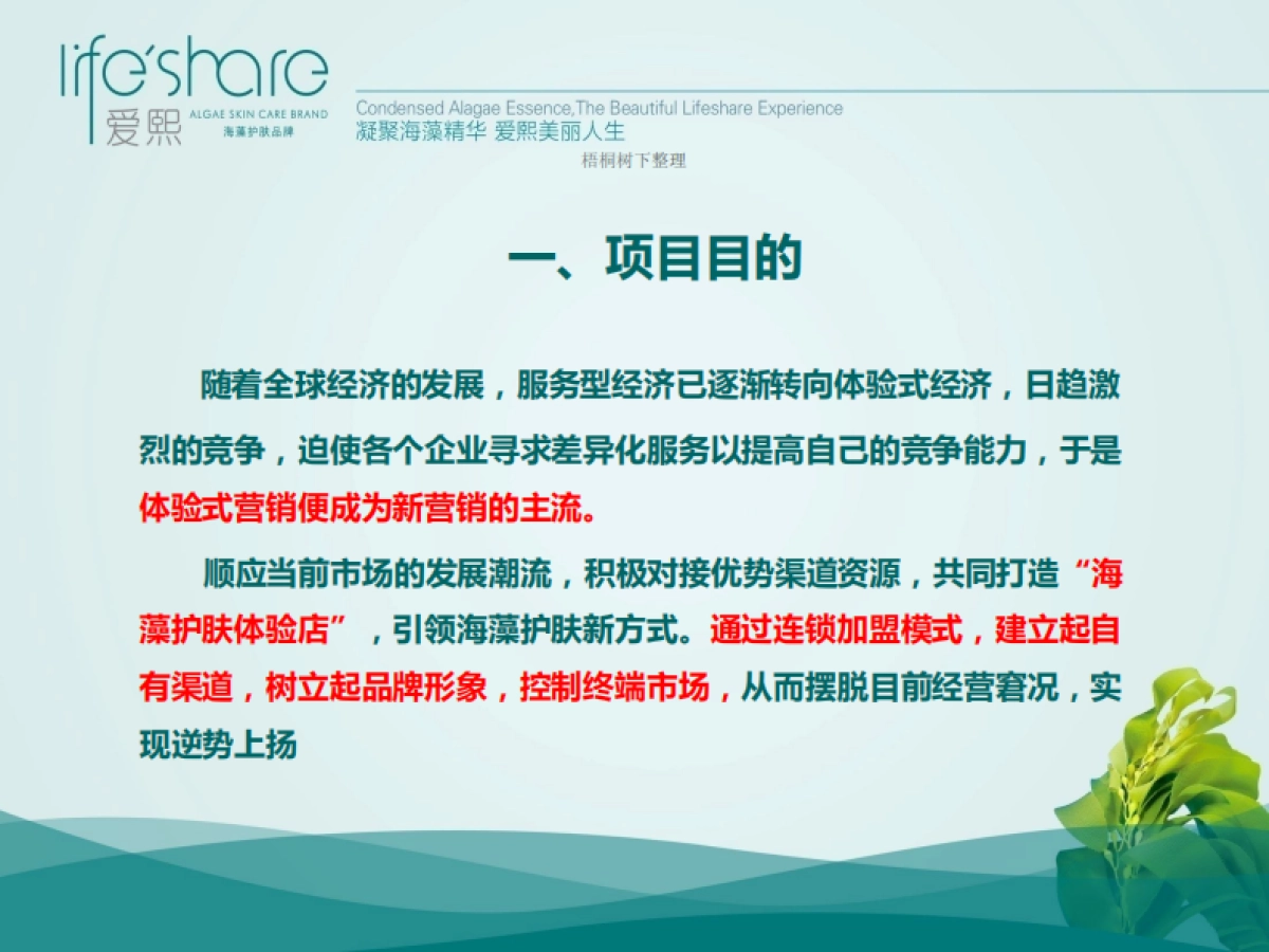 海洋生活家商业计划书_第4页