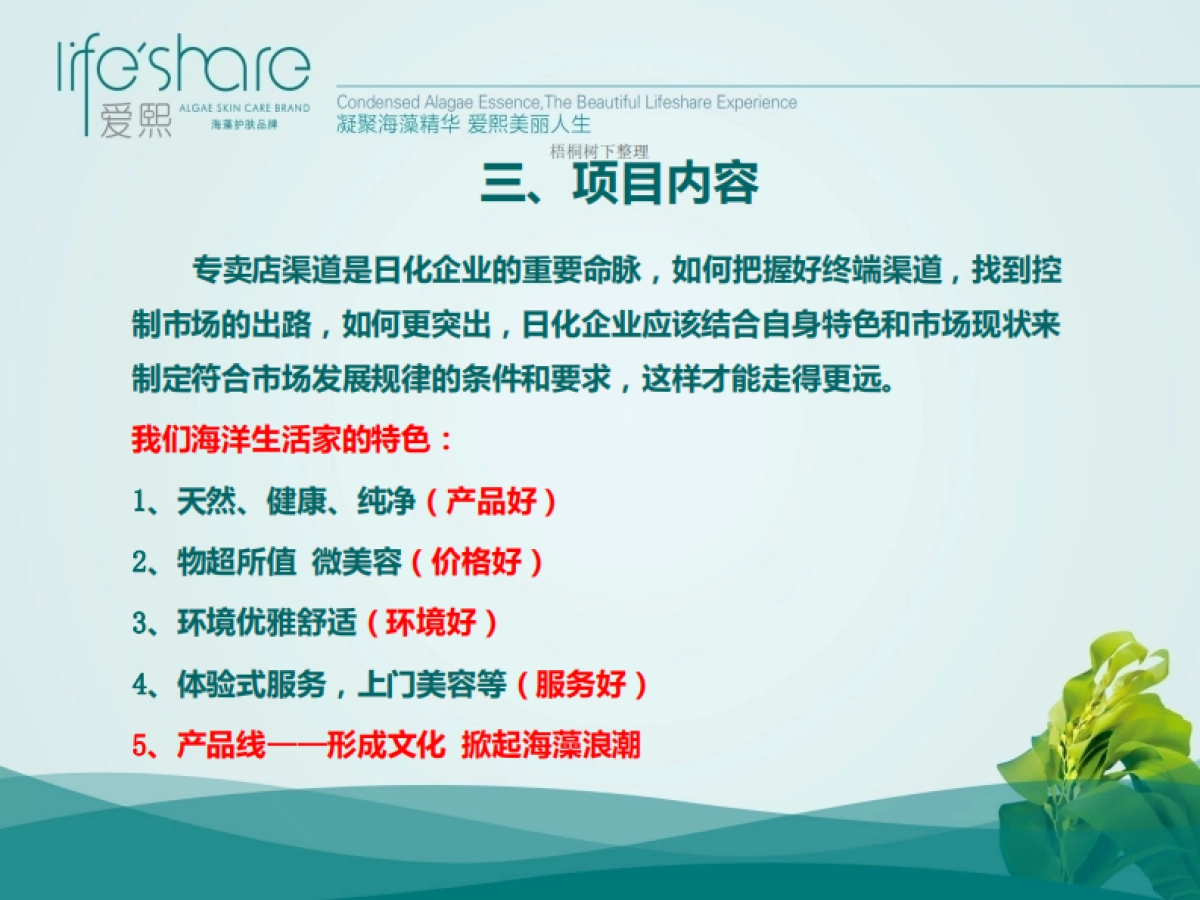 海洋生活家商业计划书_第6页