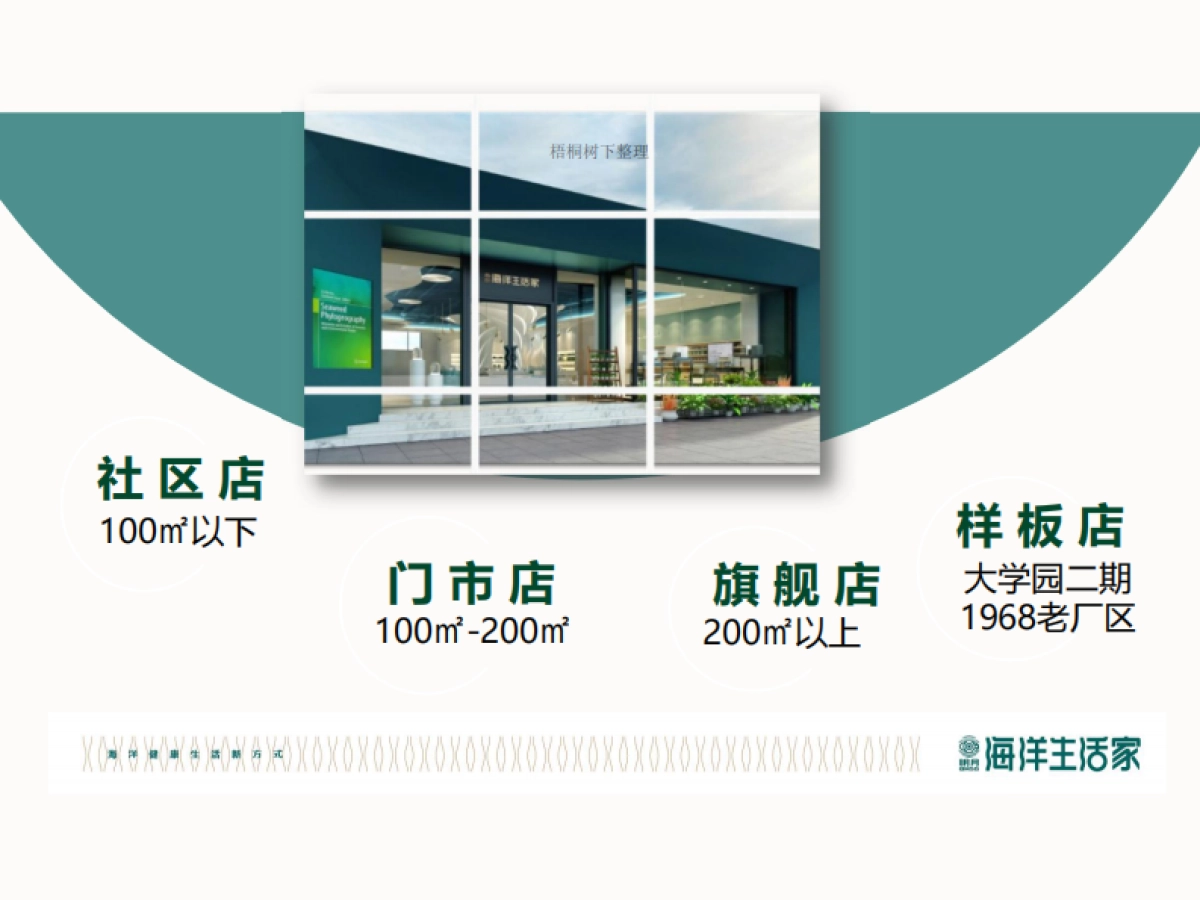 海洋生活家商业计划书_第8页