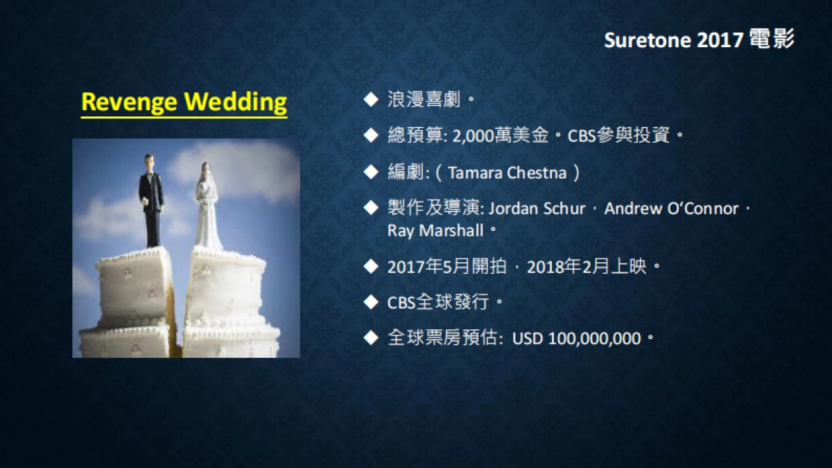 好莱坞suretone影视集商业计划书_第10页