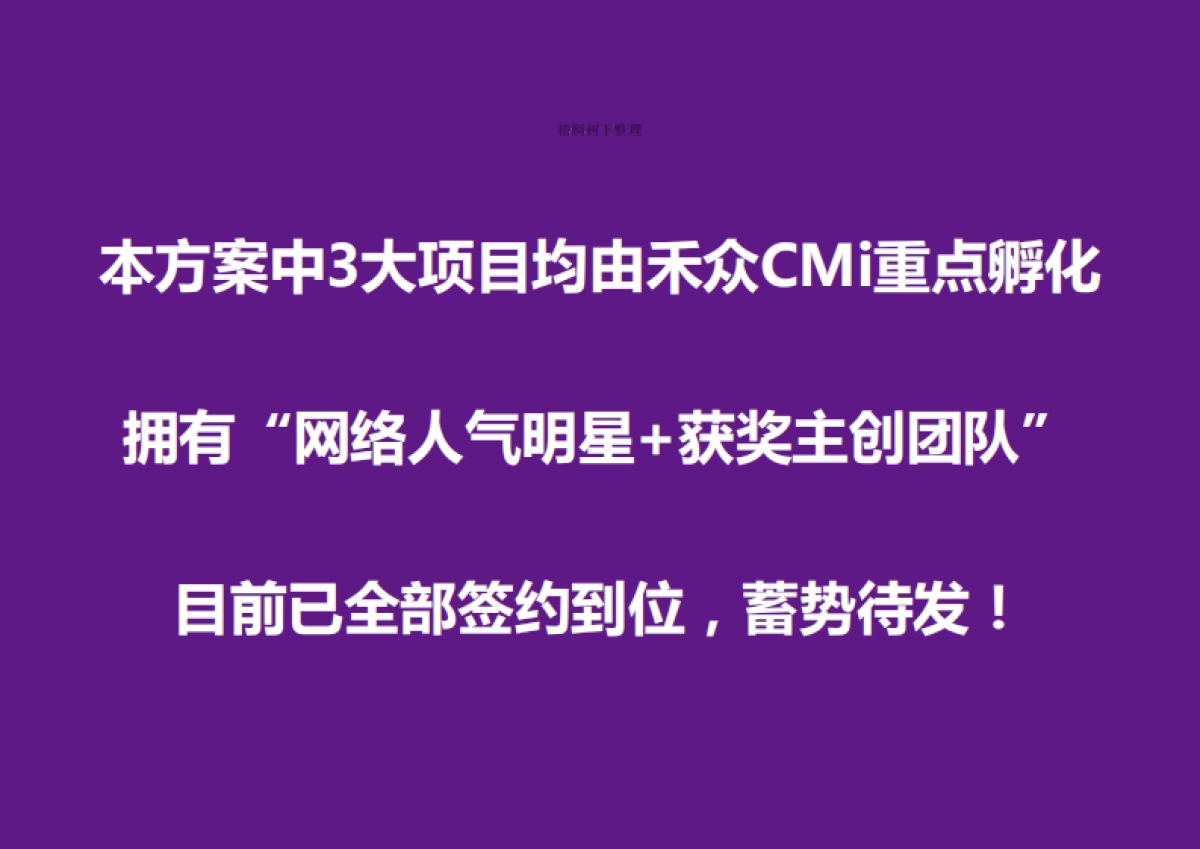 禾众“网络大电影”商业计划书_第2页