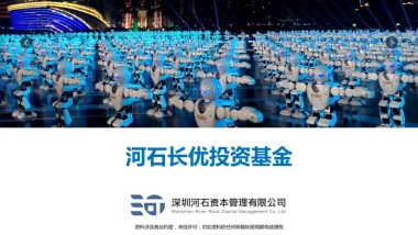 河石长优投资基金商业计划书