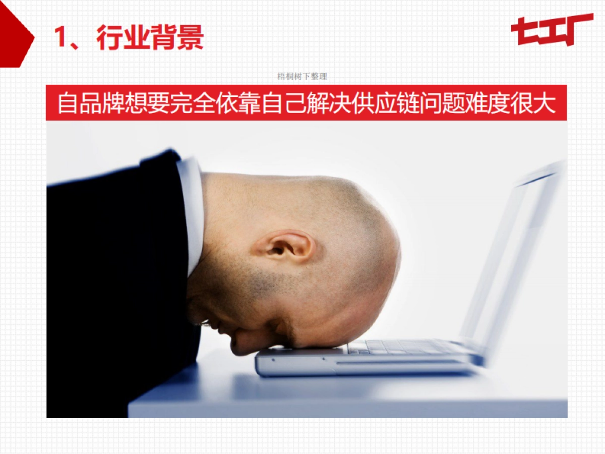 七工厂商业计划书_第9页