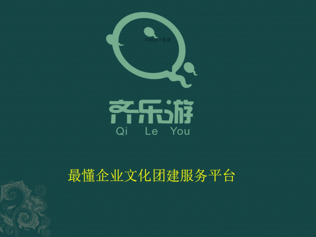 齐乐游商业计划书_第1页