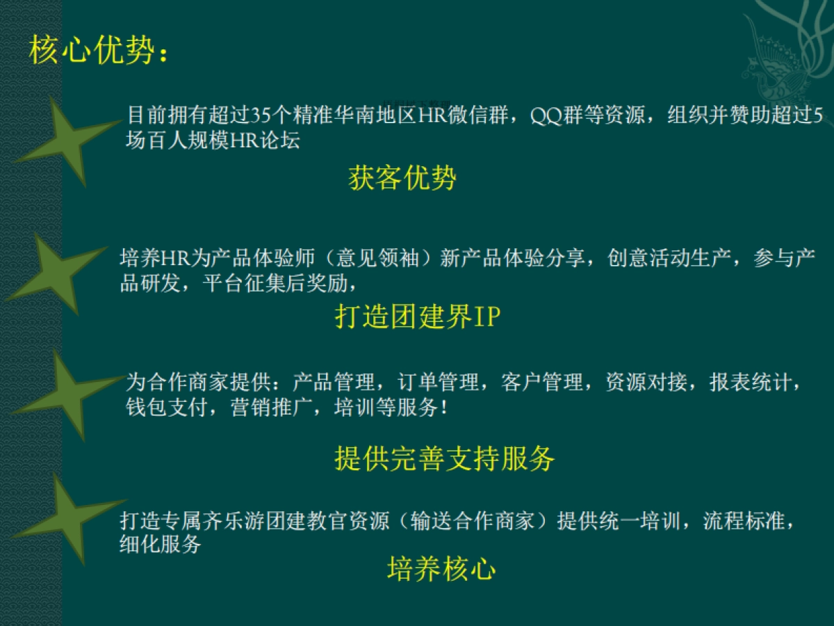 齐乐游商业计划书_第7页