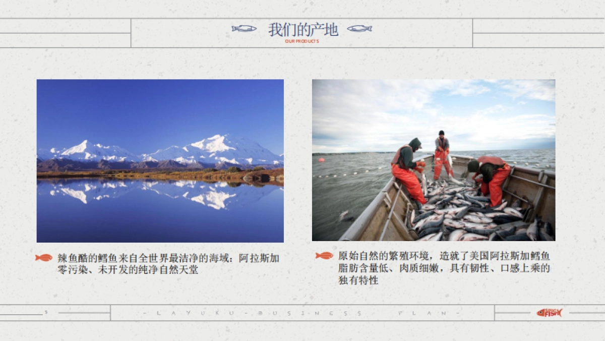 互联网深海鱼的结合--辣鱼酷_商业计划书_第8页