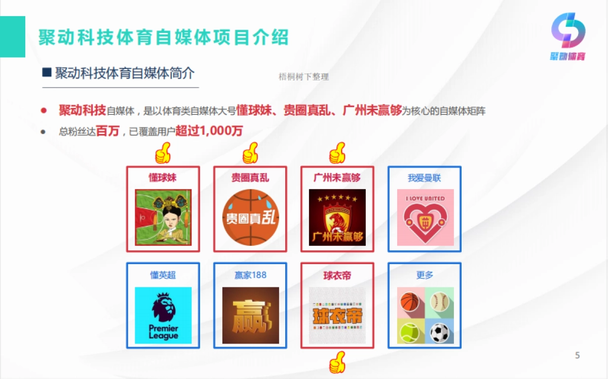 聚动体育商业计划书_第5页