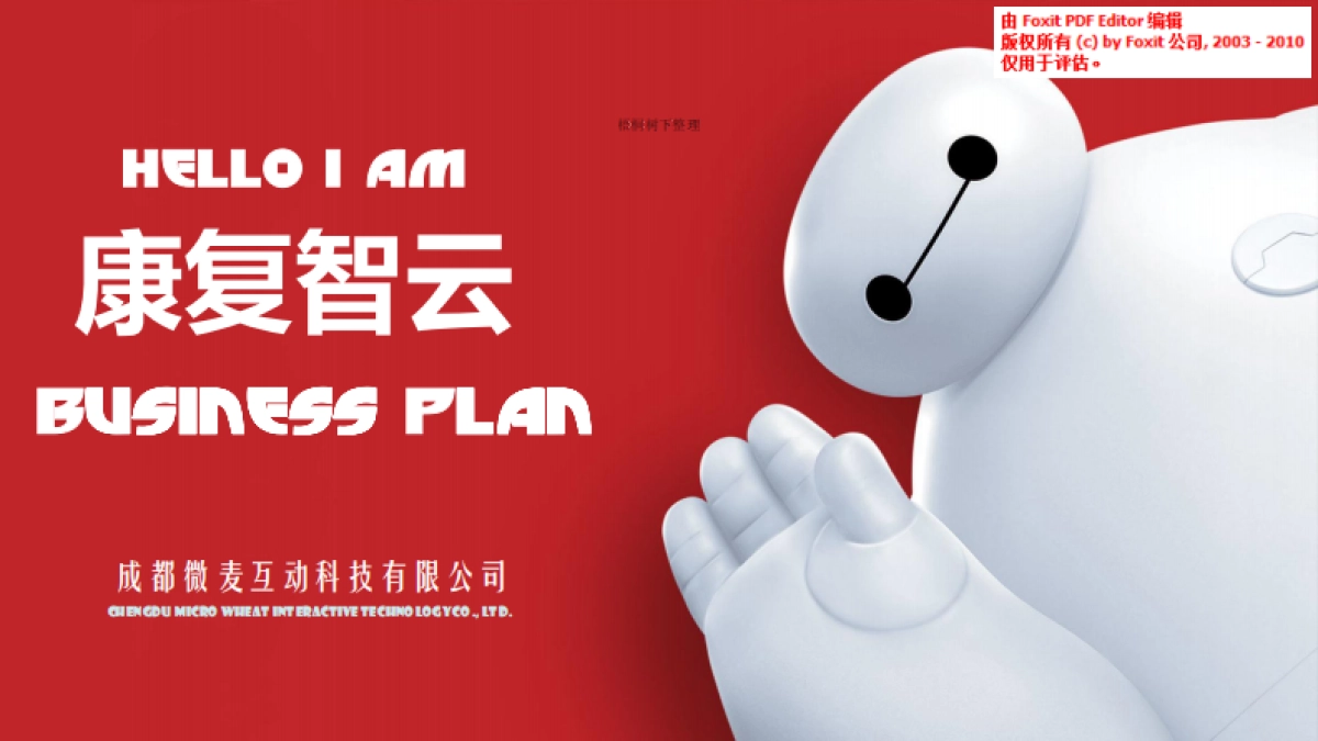 康复智云商业计划书_第1页