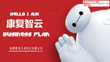 康复智云商业计划书