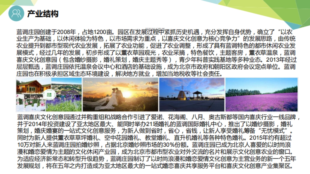 蓝调庄园一站式婚礼订制策划、婚恋喜庆、衍生服务共享经营平台商业计划书_第6页