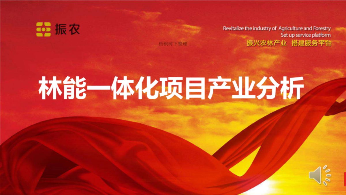 林能一体化商业计划书_第1页