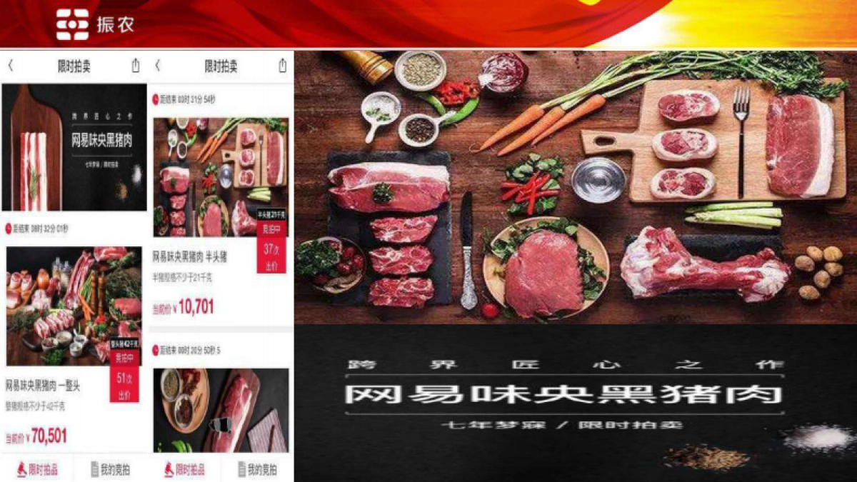 林能一体化商业计划书_第7页