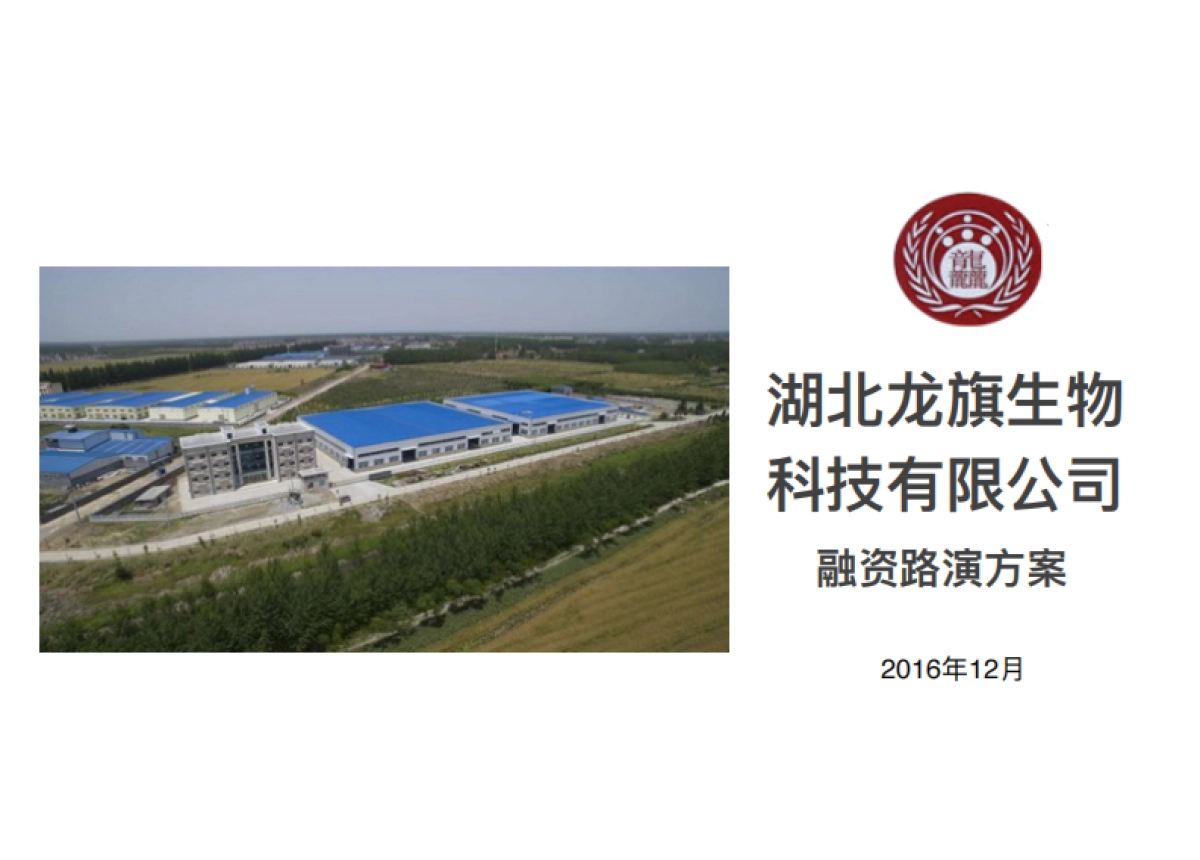 龙旗生物科技商业计划书_第1页