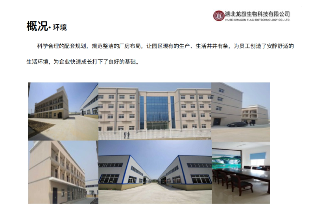 龙旗生物科技商业计划书_第5页