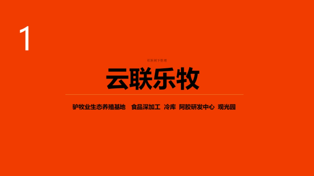 驴鲜生餐饮商业计划书_第5页