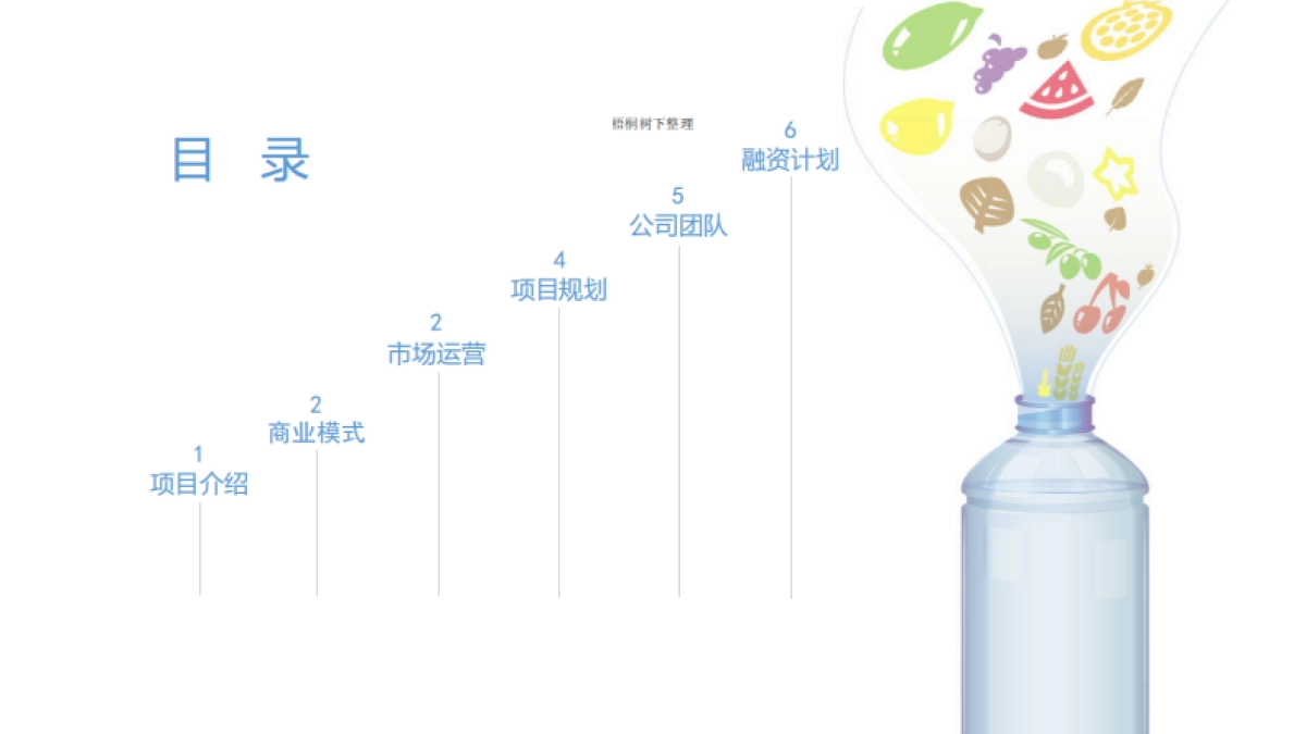 绿天使-舌尖SPA植物功能性饮料.商业计划书_第2页