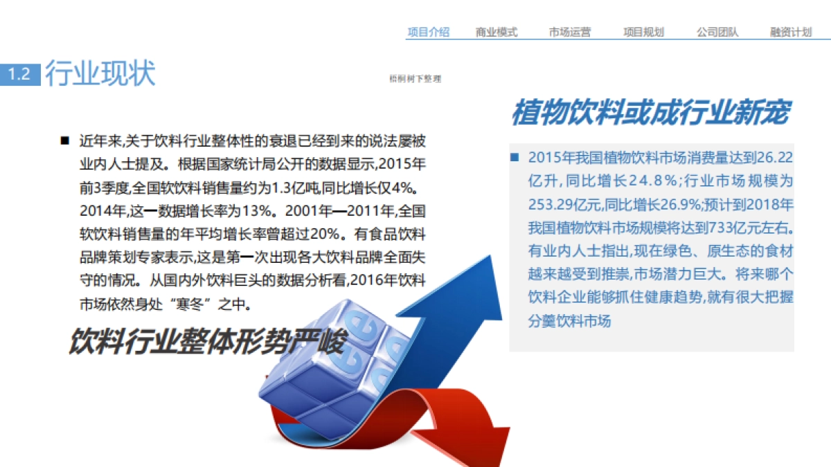 绿天使-舌尖SPA植物功能性饮料.商业计划书_第5页