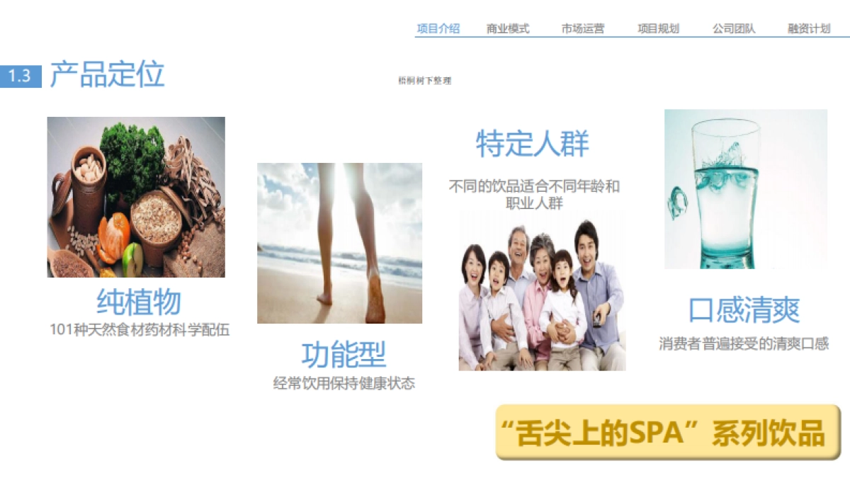 绿天使-舌尖SPA植物功能性饮料.商业计划书_第6页
