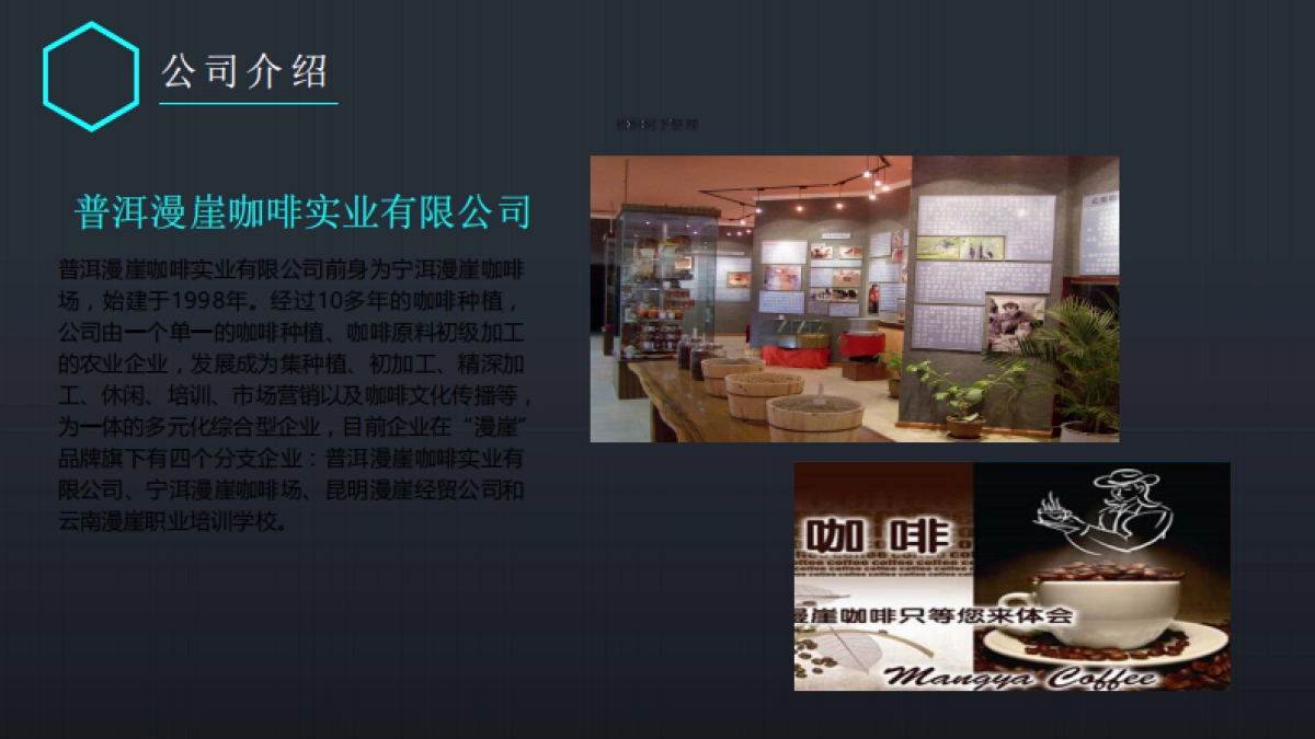 漫崖咖啡商业计划书_第4页