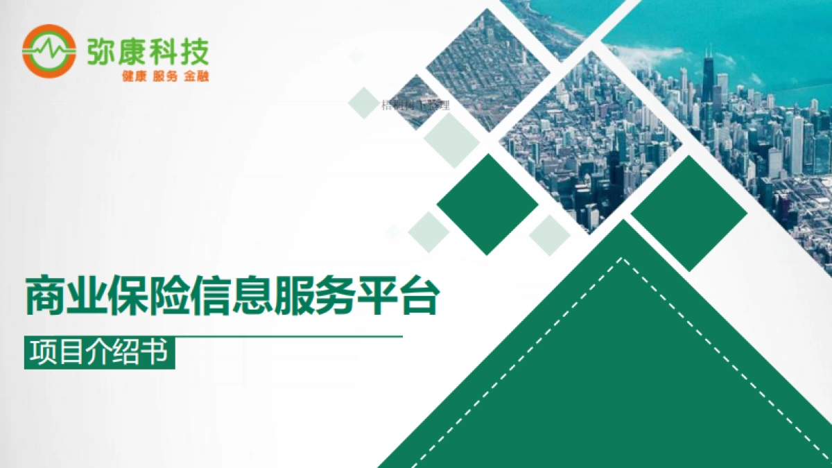 弥康科技商业计划书_第1页