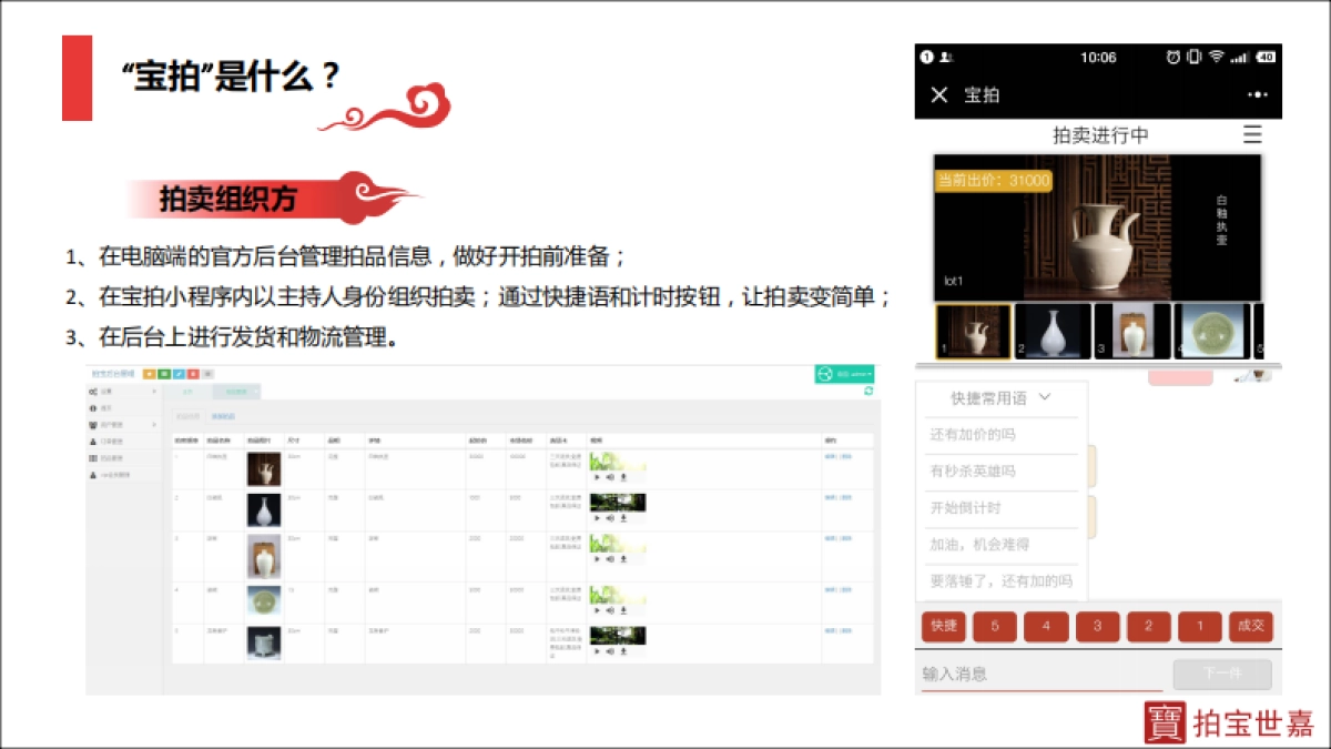 拍宝世嘉商业计划书_第5页