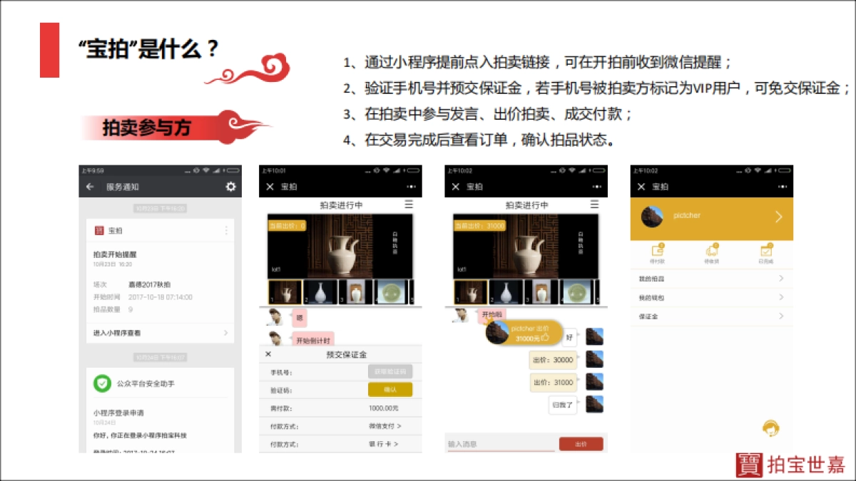 拍宝世嘉商业计划书_第6页