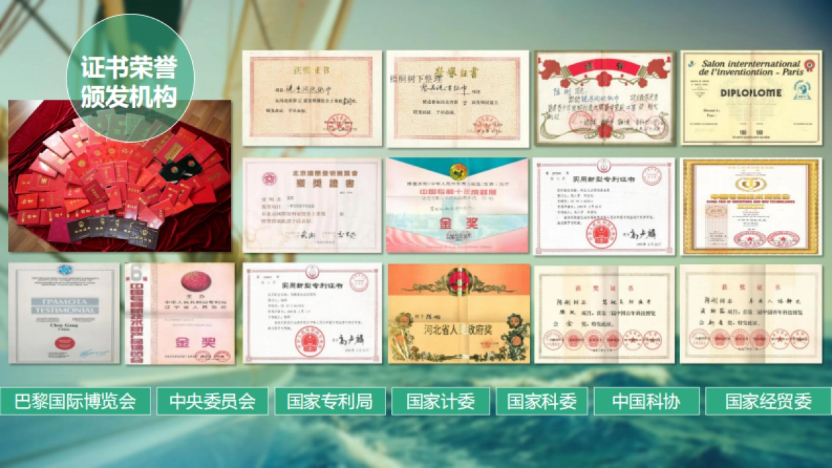 泡泡帮绿色生活体验家商业计划书_第8页