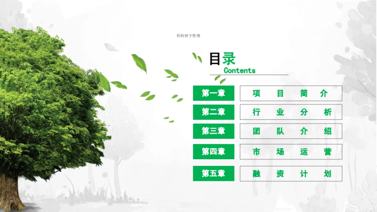 雾化无土栽培iFlower商业计划书_第2页