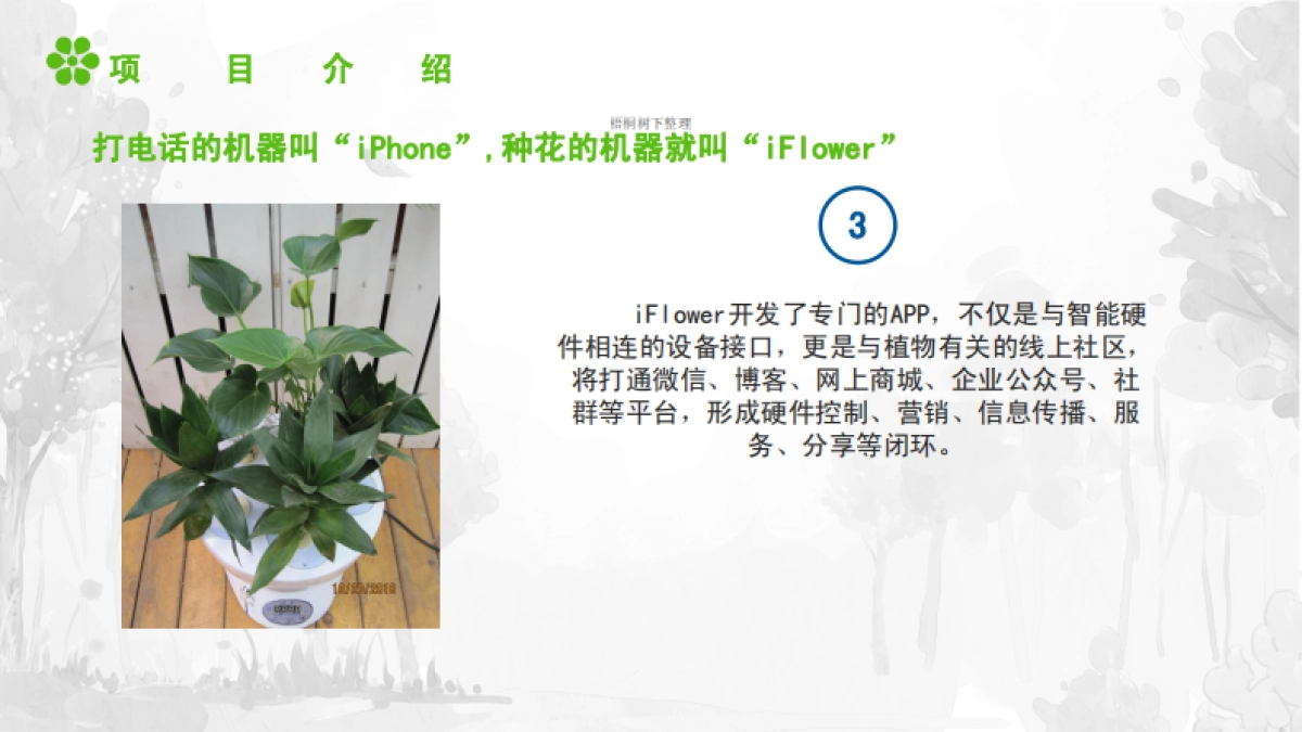 雾化无土栽培iFlower商业计划书_第7页