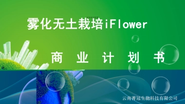雾化无土栽培iFlower商业计划书