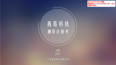 茜莓科技商业计划书