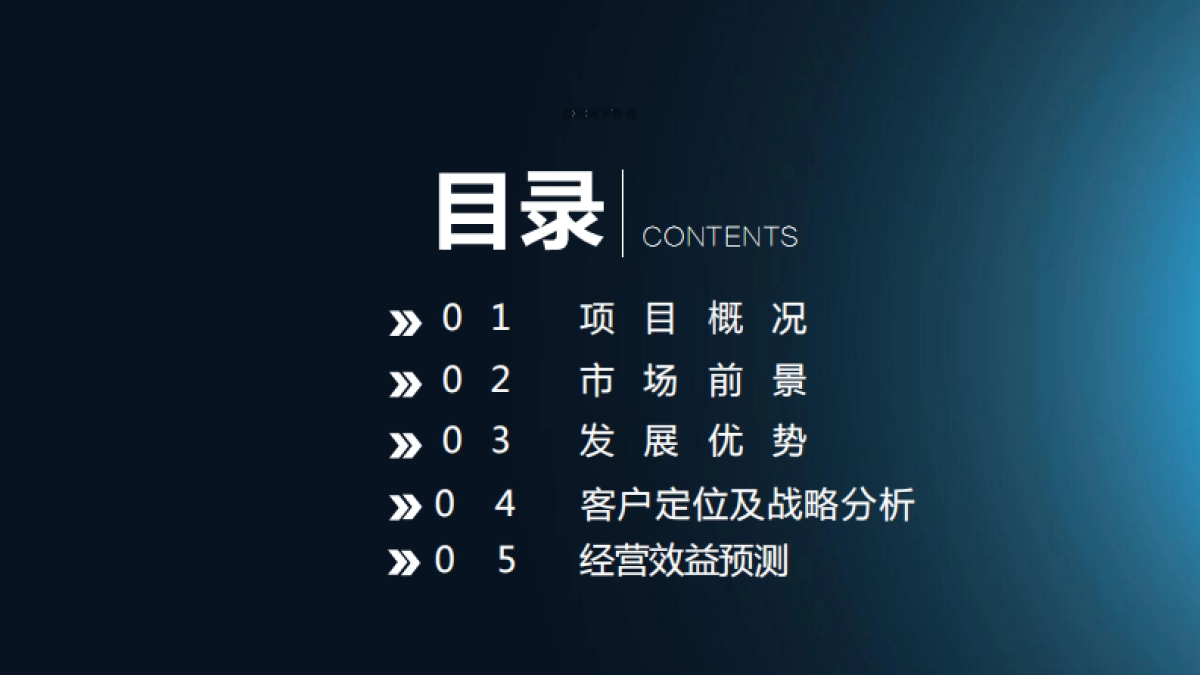 青岛浮山所养老公寓.商业计划书_第2页