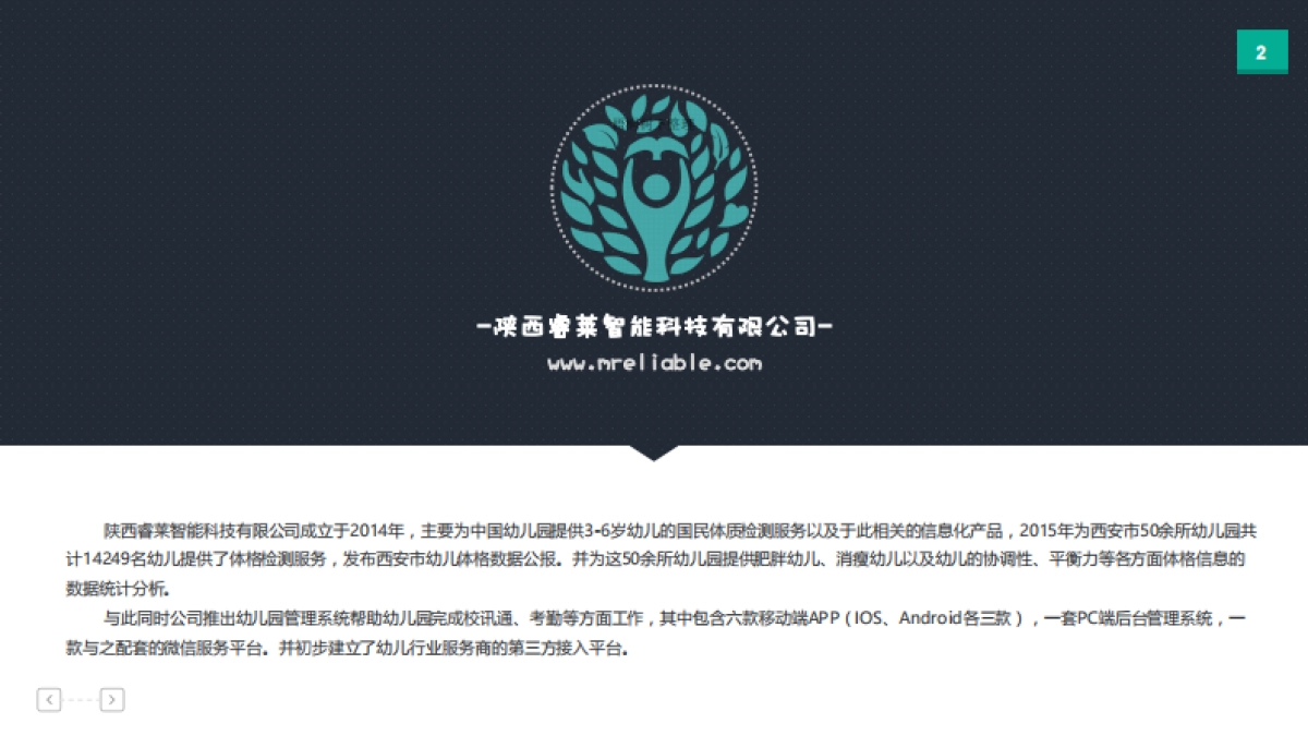 睿莱科技商业计划书_第2页