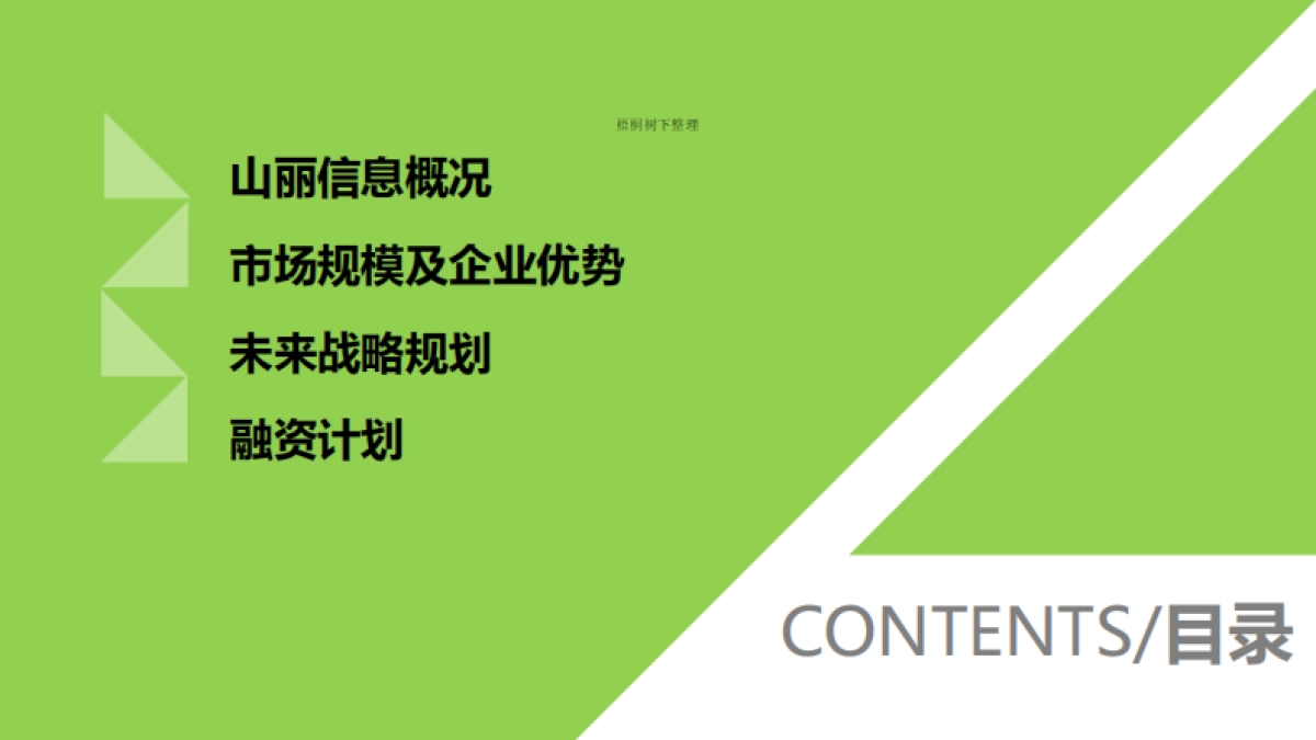 山丽信息商业计划书_第2页