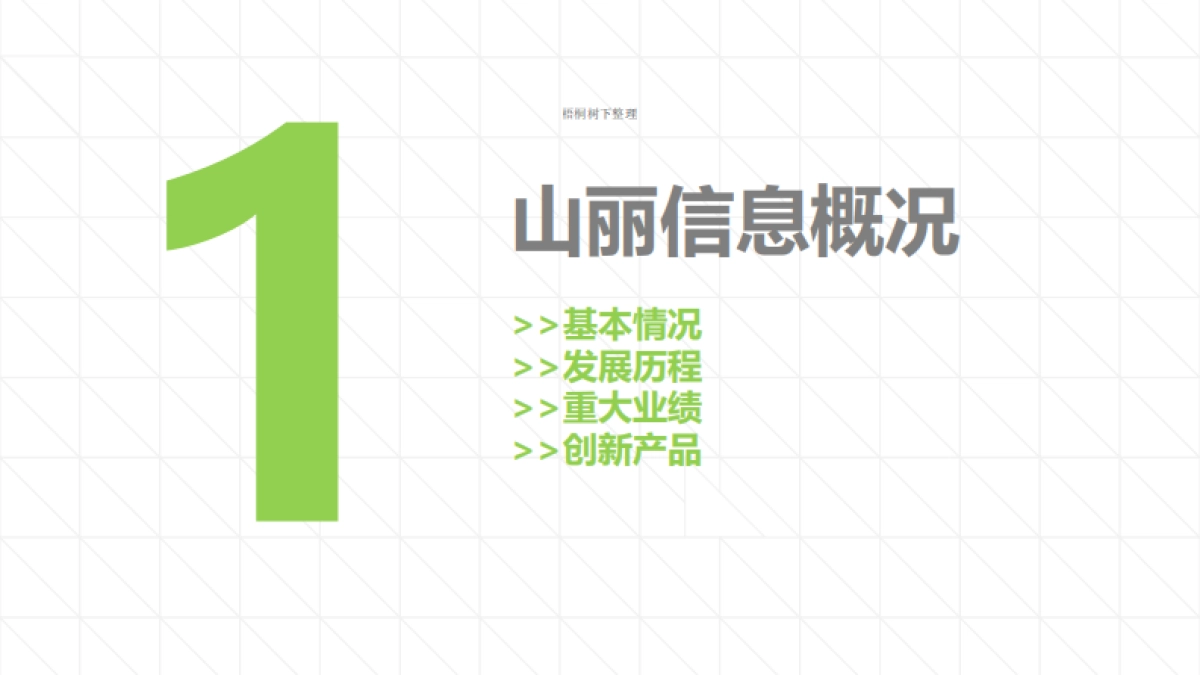 山丽信息商业计划书_第5页