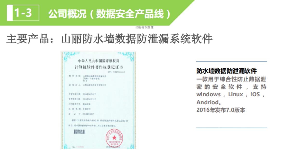 山丽信息商业计划书_第8页