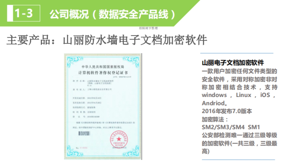 山丽信息商业计划书_第9页