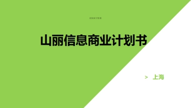 山丽信息商业计划书