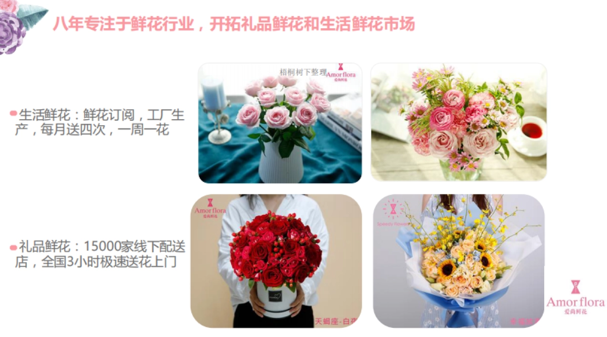 上海爱尚鲜花股份有限公司商业计划书_第3页