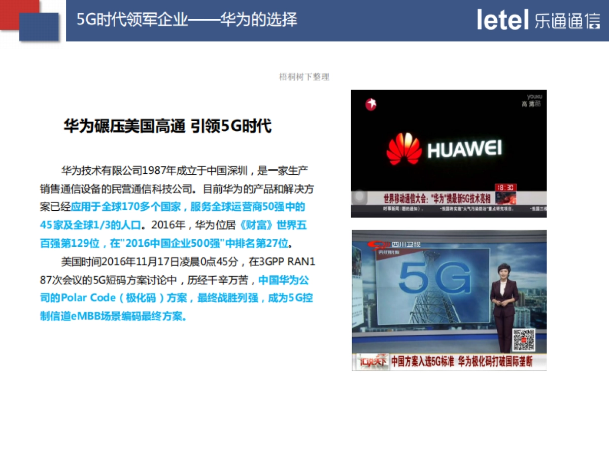 上海乐通通信商业计划书_第6页