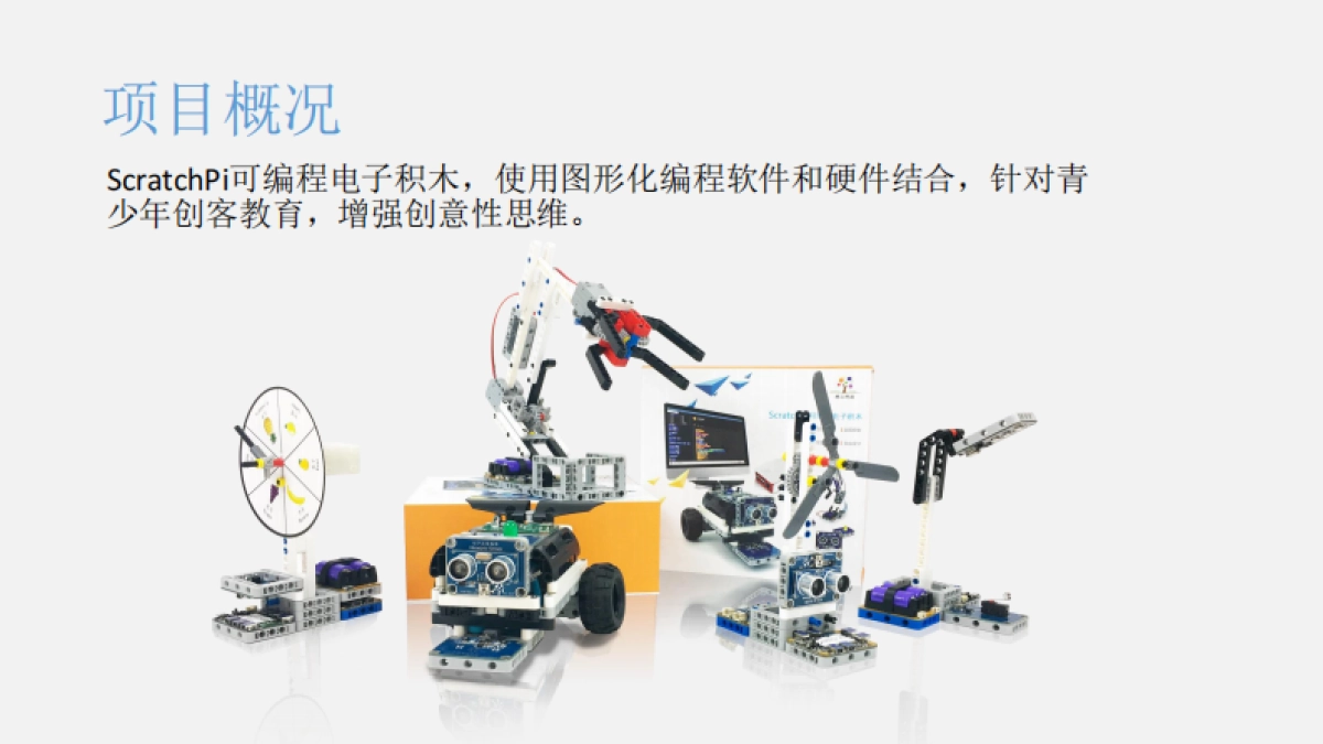 上海树上科技bp_第4页