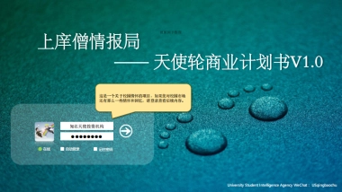 上庠僧情报局天使轮商业计划书