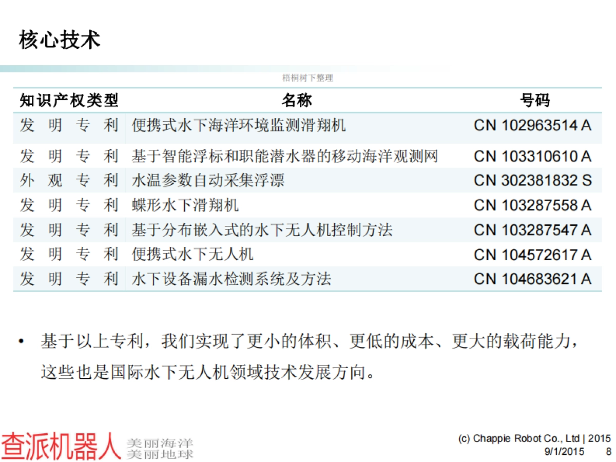 水下无人机产业化项目商业计划书_第8页