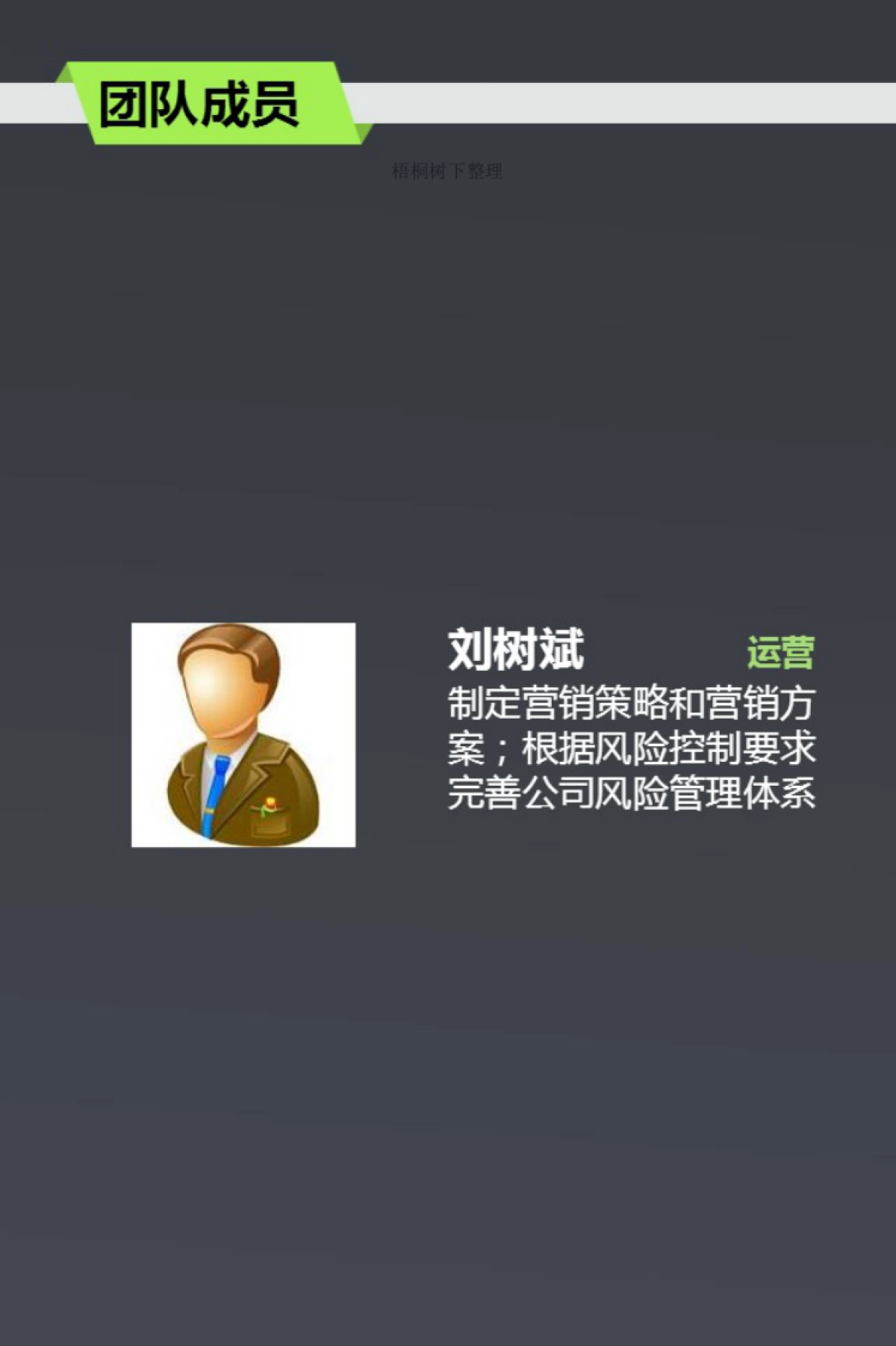 速放贷商业计划书_第3页