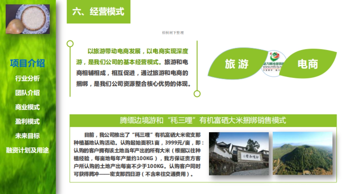 腾冲魅力网络科技有限公司商业计划书_第10页