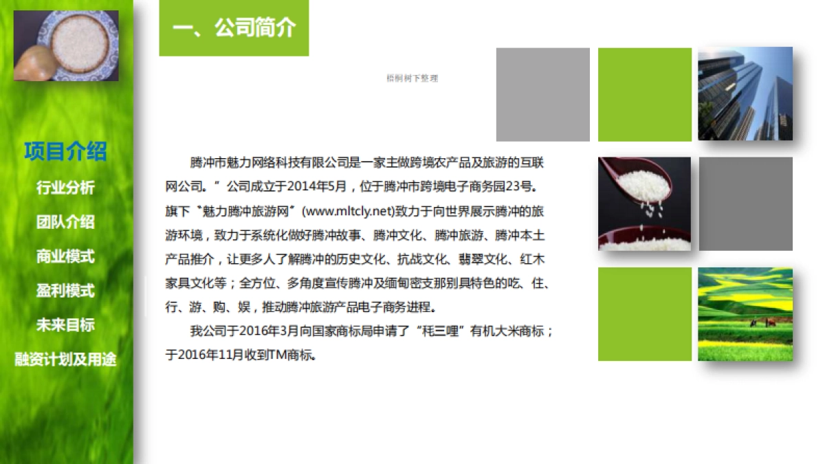 腾冲魅力网络科技有限公司商业计划书_第2页