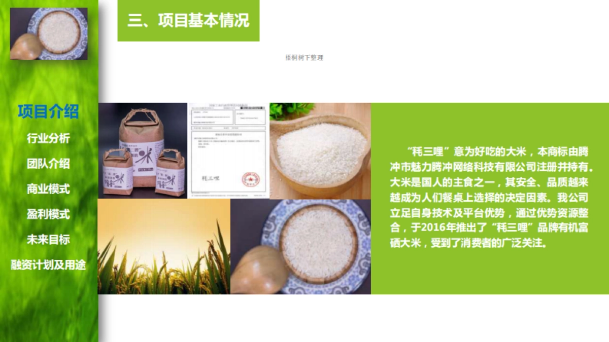 腾冲魅力网络科技有限公司商业计划书_第5页