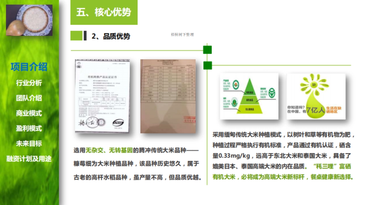 腾冲魅力网络科技有限公司商业计划书_第8页